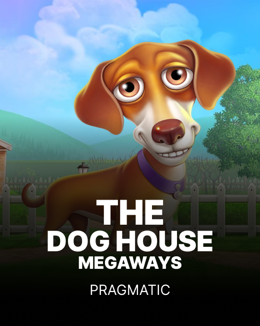 the dog house megaways game
