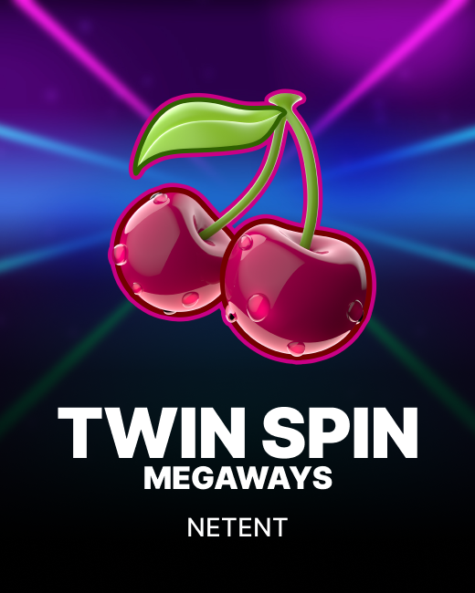twin spin megaways game